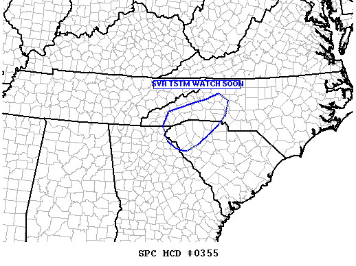 Mesoscale Discussion 355