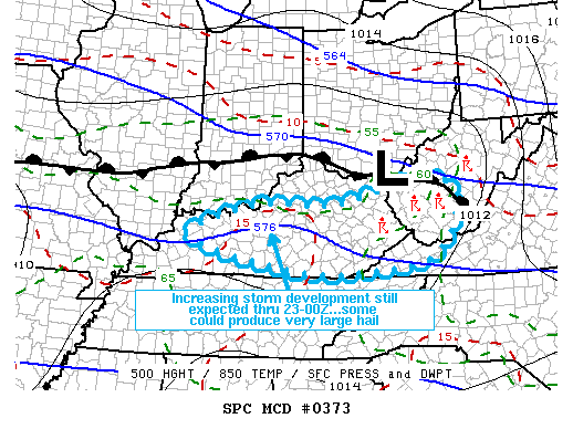 Mesoscale Discussion 373