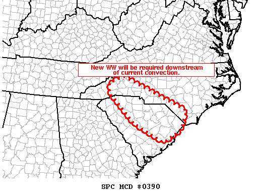 Mesoscale Discussion 390
