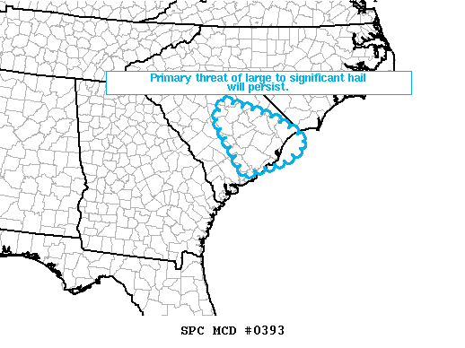 Mesoscale Discussion 393