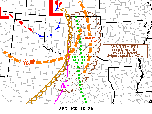 Mesoscale Discussion 425