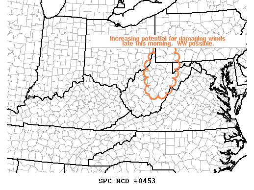 Mesoscale Discussion 453