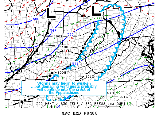 Mesoscale Discussion 486