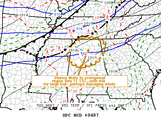 Mesoscale Discussion 487