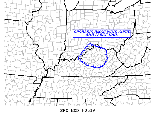 Mesoscale Discussion 519