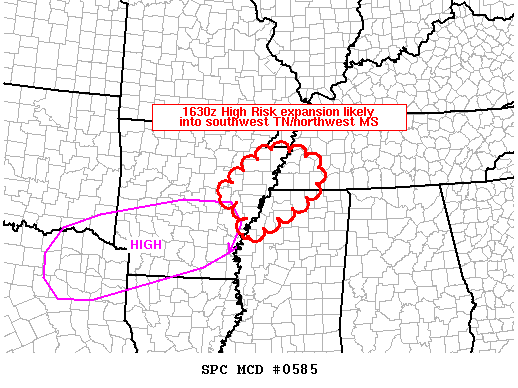 Mesoscale Discussion 585