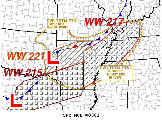 Mesoscale Discussion 601
