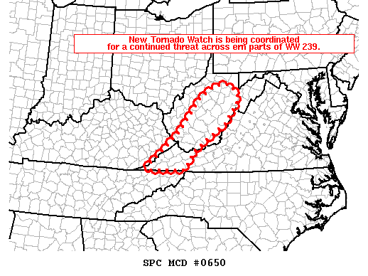 Mesoscale Discussion 650