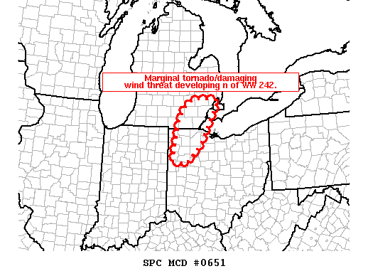 Mesoscale Discussion 651