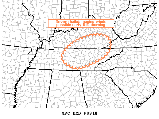 Mesoscale Discussion 918