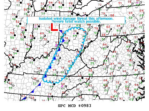 Mesoscale Discussion 983