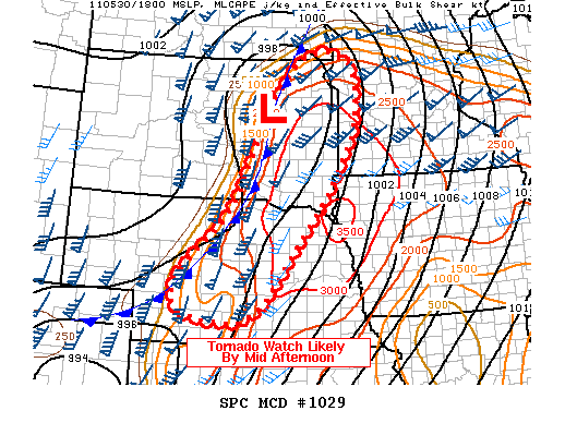 Mesoscale Discussion 1029