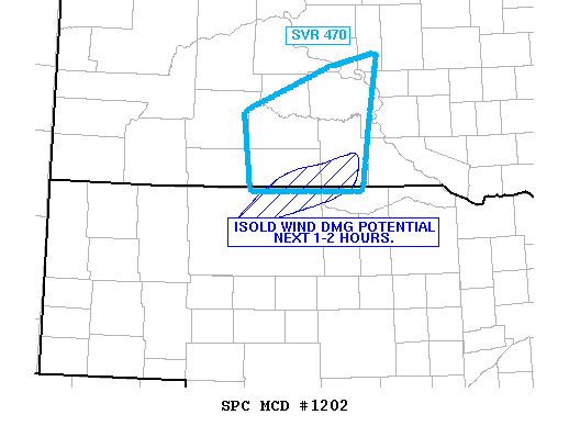 Mesoscale Discussion 1202