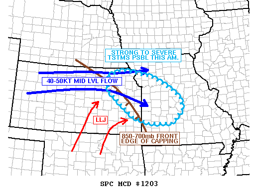 Mesoscale Discussion 1203