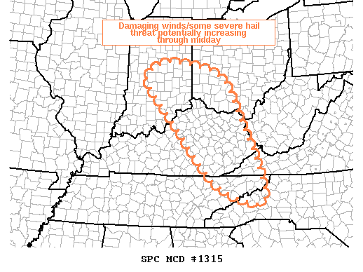Mesoscale Discussion 1315