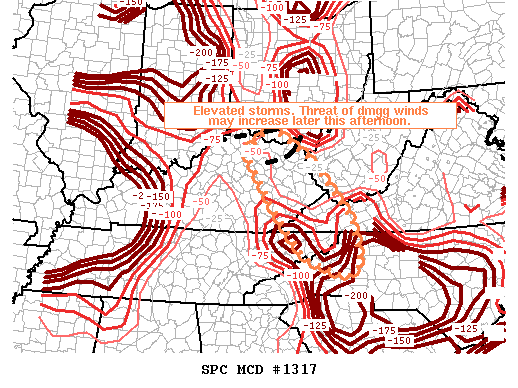 Mesoscale Discussion 1317