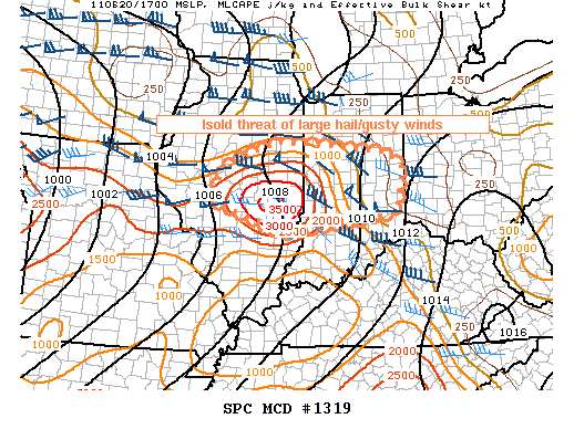 Mesoscale Discussion 1319