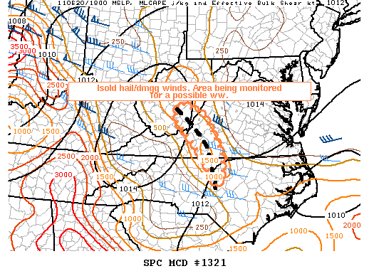 Mesoscale Discussion 1321