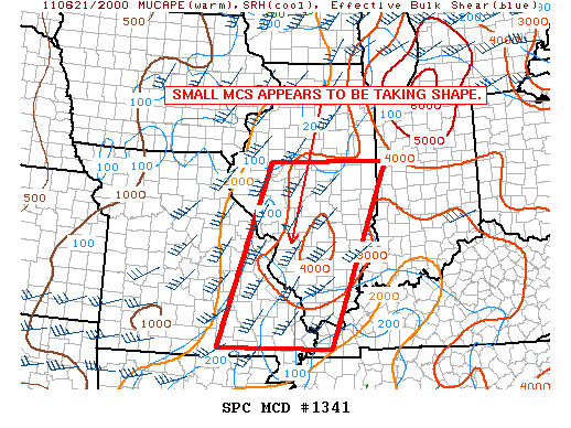 Mesoscale Discussion 1341
