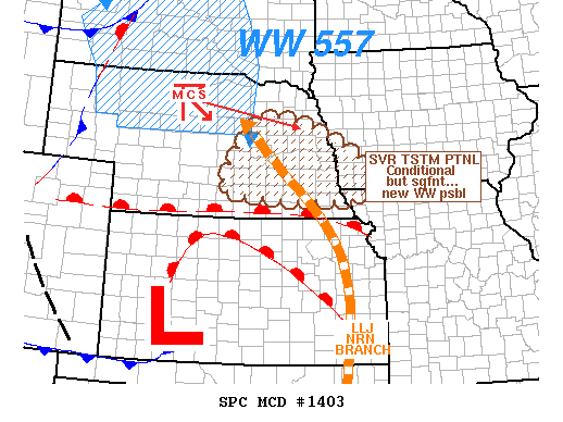 Mesoscale Discussion 1403