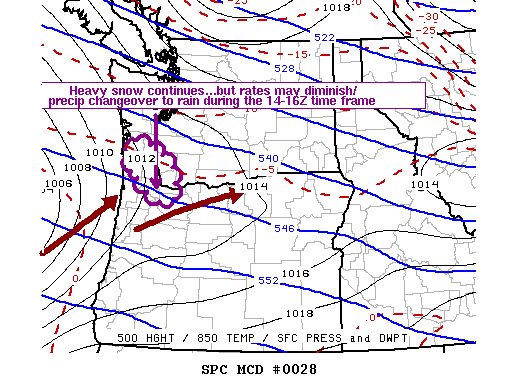 Mesoscale Discussion 28