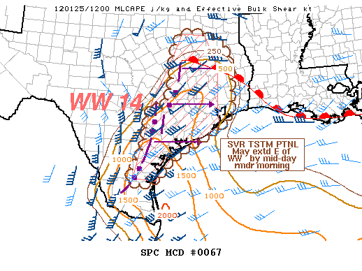 Mesoscale Discussion 67