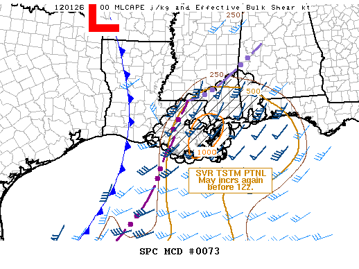 Mesoscale Discussion 73