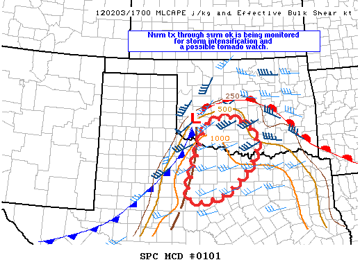 Mesoscale Discussion 101