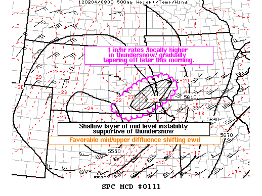 Mesoscale Discussion 111