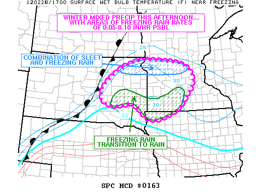Mesoscale Discussion 163