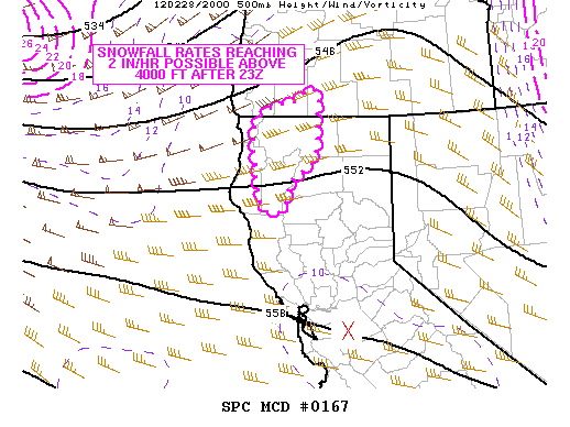 Mesoscale Discussion 167