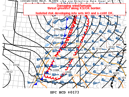 Mesoscale Discussion 173