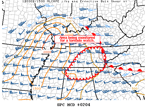 Mesoscale Discussion 204