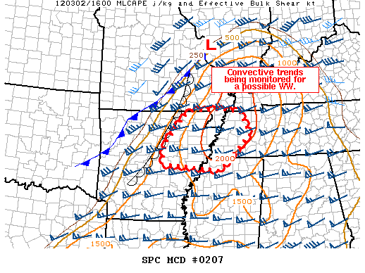 Mesoscale Discussion 207
