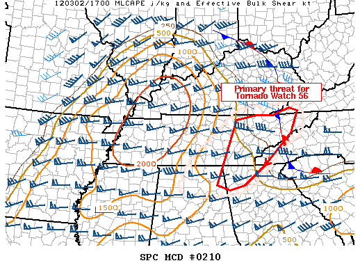 Mesoscale Discussion 210