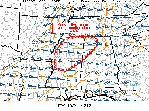 Mesoscale Discussion 212