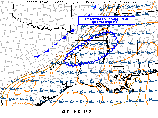 Mesoscale Discussion 213