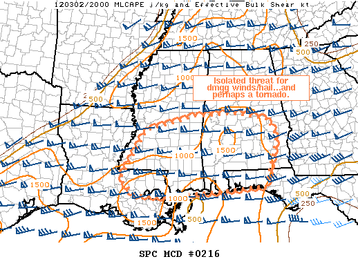 Mesoscale Discussion 216