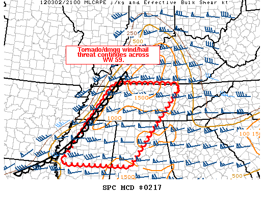 Mesoscale Discussion 217