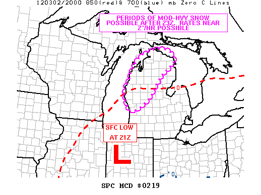 Mesoscale Discussion 219