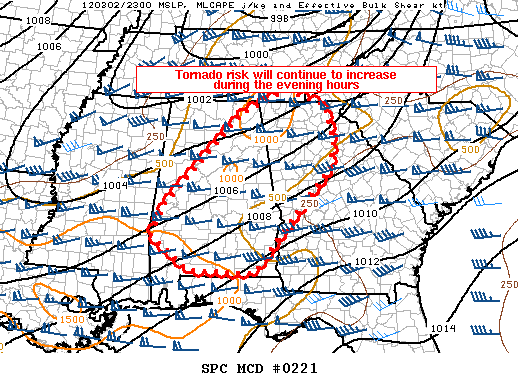 Mesoscale Discussion 221