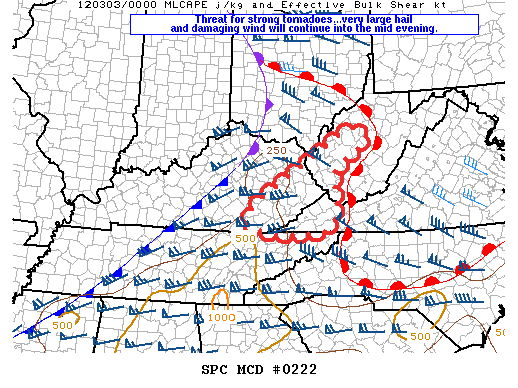 Mesoscale Discussion 222