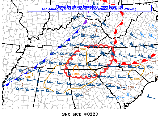 Mesoscale Discussion 223