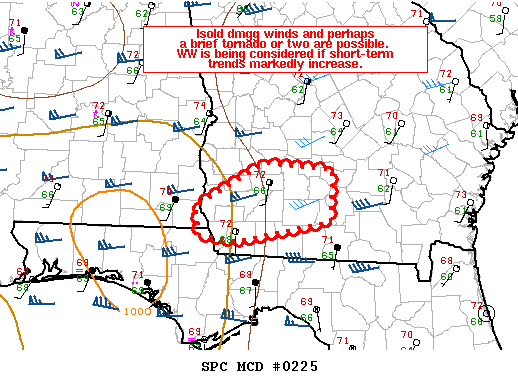 Mesoscale Discussion 225