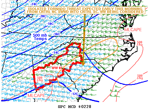 Mesoscale Discussion 228