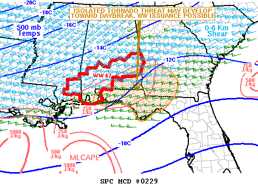 Mesoscale Discussion 229