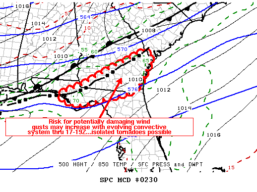 Mesoscale Discussion 230