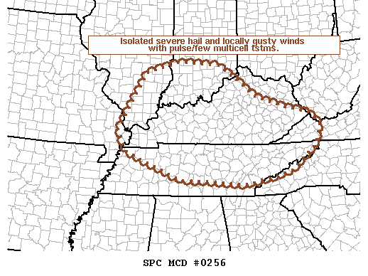 Mesoscale Discussion 256