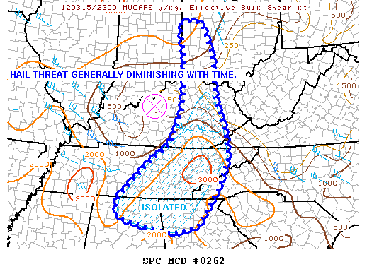 Mesoscale Discussion 262