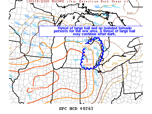 Mesoscale Discussion 263
